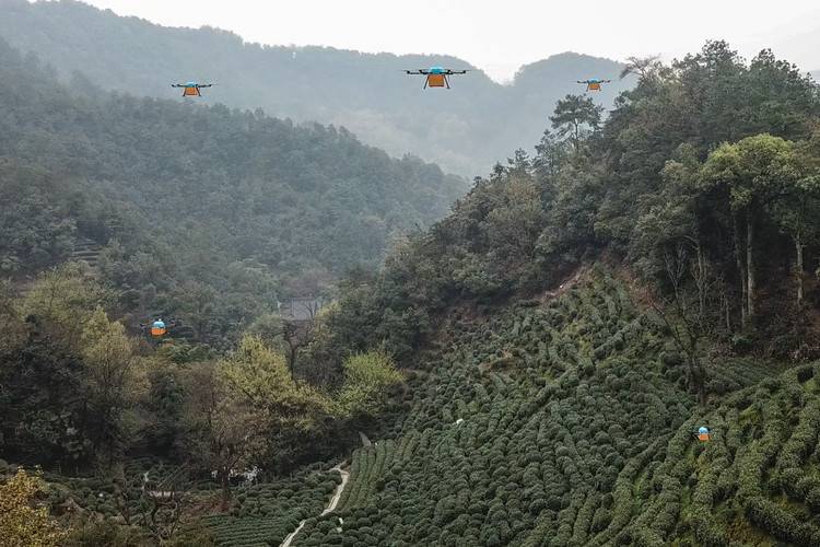 獅峰龍井第一采由無(wú)人機(jī)運(yùn)輸_宇辰網(wǎng)_讓世界讀懂無(wú)人機(jī)_全球?qū)I(yè)無(wú)人機(jī)服務(wù)資訊平臺(tái)