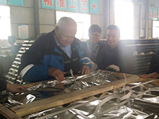 德國(guó)廠里檢驗(yàn)貨物21 德國(guó)廠里檢驗(yàn)貨物21